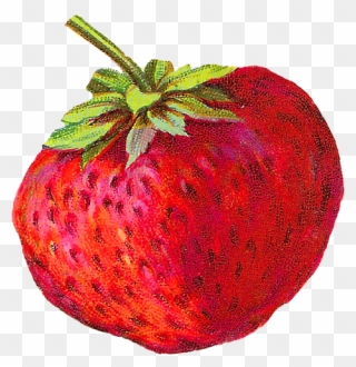 Strawberry Clip Art Download - Strawberry - Png Download