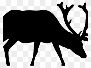 Wildlife Clipart Leaping Deer - Deer - Png Download