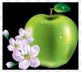 Did You Know - Fruits Vector Clipart