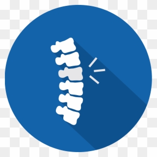 Spinal Cord Png - Spinal Cord Injury Icon Clipart