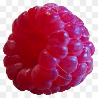 Blackberry Fruit Png Transparent Images - Raspberry .png Clipart