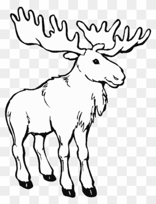 Caribou Animals Printable Pages Drawings And - Canada Day Coloring Pages Clipart
