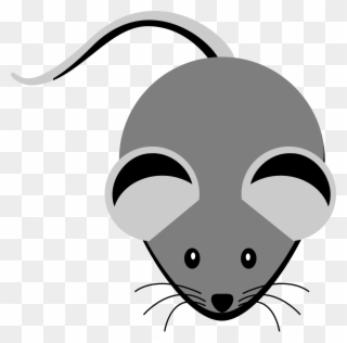 Rat Clipart Gray Mouse - Grey Clipart - Png Download