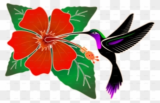 Batik Png Png Images - Hummingbird And Hibiscus Clipart Transparent Png