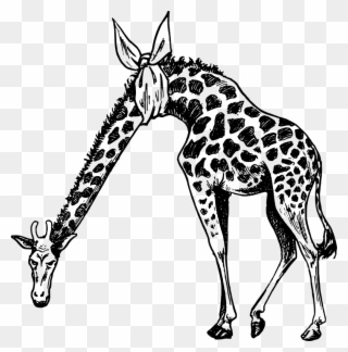 Medium Image - Giraffe With Bad Neck Clipart