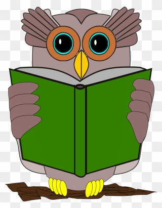 Owl Book Review Reading Bird - Book Clipart