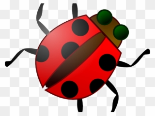 Insect Clipart Kid Png - Bug Clip Art Transparent Png