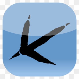 Bristol Natural History Consortium - Bird Clipart