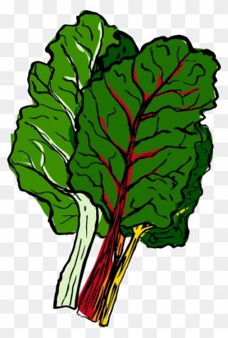 Chard - Cauliflower Clipart