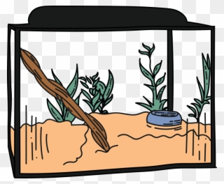 The Best Enclosure For A Full-grown Iguana Is 12 Feet Clipart
