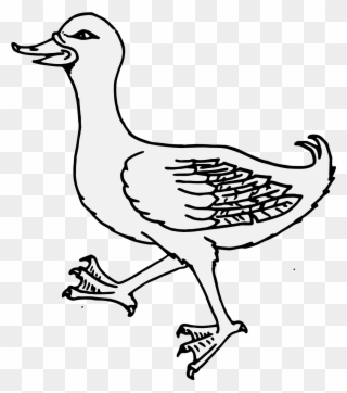 Details, Png - Duck Clipart