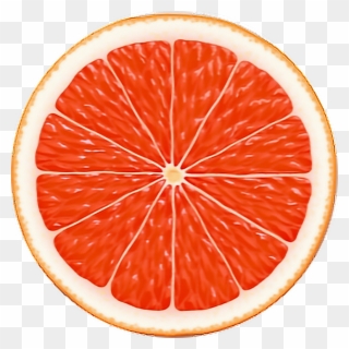 Fruit Sticker - Citrus Slices Clipart