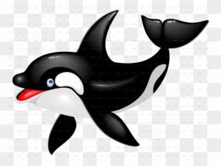 Killer Whale Clipart Paus - Killer Whale Png Cartoon Transparent Png