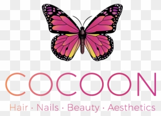 Cocoon Was Established In - Monarch Butterfly In Danger Of Extinction Clipart
