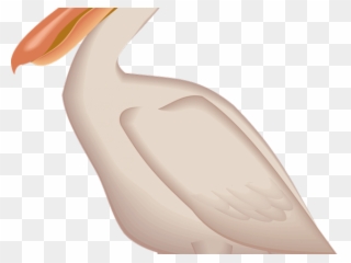Sea Bird Clipart Pelican - Swan - Png Download