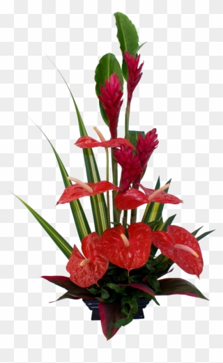Red Tropical Flower Arrangement - Anthurium Flower Arrangements Ideas Clipart