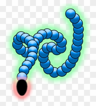 Mana Worm Size/type Clipart