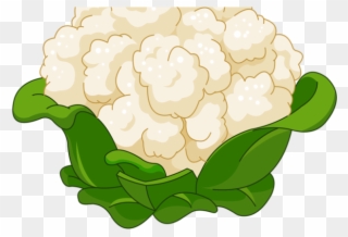 Hydrangea Clipart Cartoon - Cauliflower Cartoon - Png Download
