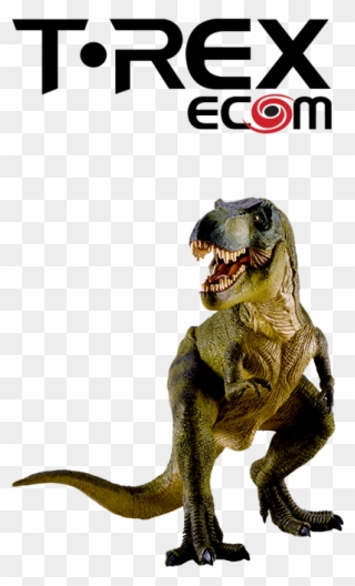 Trexecom Everything Ecommerce E Commerce Software And - Tyrannosaurus Clipart