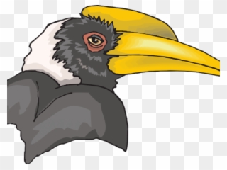 Hornbill Clipart Rhinoceros Hornbill - Hornbill - Png Download