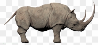 Rhino Png - White Rhino Conan Exiles Clipart
