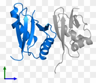 <div Class='caption-body'>pdb Entry 2kfk Contains 1 - Illustration Clipart