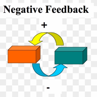 File - Negativefeedback - Positive And Negative Feedback System Clipart