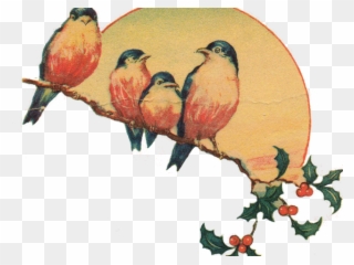 Retro Clipart Transparent - Poet Lover Birdwatcher - Png Download