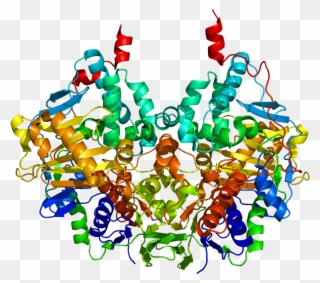 Monoamine Oxidase B Structure Clipart