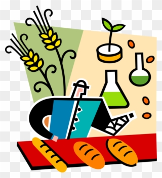 Botanist Creates Wheat Varieties Vector Image Illustration Clipart