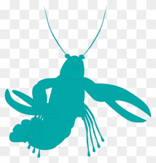 Isopod Green Clip Art - Crayfish Clipart - Png Download