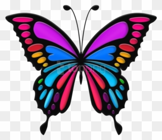 Free Png Download Colorful Butterfly Clipart Png Photo - Colorful Butterfly Transparent Png