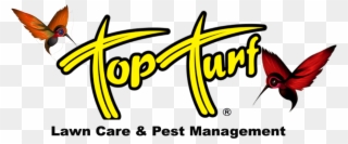 11 Top Turf Lawn Care And Pest Management - Top Turf Clipart