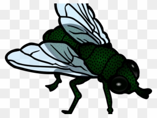 Fly Clipart Little Bug - House Fly Clipart - Png Download