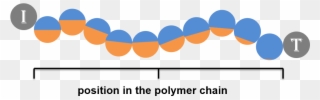 Corresponding Visualization Of The Polymer Chain For - Kei Industries Clipart