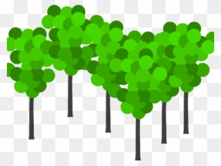 Shrub Clipart Bunch Tree - Bunch Of Trees Clipart - Png Download