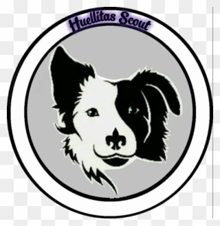 Border Collie Face Clipart - Png Download