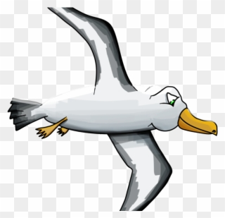About The Event - Albatross Clipart