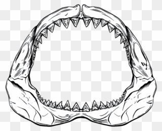 Drawn Shark Jaws Shark - Drawing Of Shark Jaws Clipart