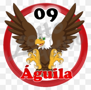 20 Sep - Aguila Lotto Activo Clipart