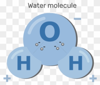 An Image Showing Polarizing Water Molecules Process - Chemical Property Transparent Clipart