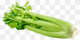 Celery - Celery Png Clipart