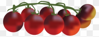 Canadian Renegade - Cherry Tomatoes Clipart