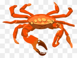 Crab Clipart Transparent Background - Crab Transparent - Png Download