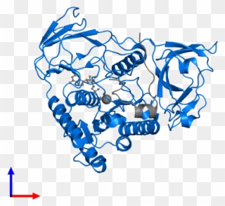 <div Class='caption-body'>pdb Entry 2npi Contains 1 - Graphic Design Clipart