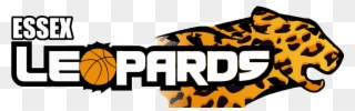 Leopards Logo - Essex Leopards Basketball Clipart