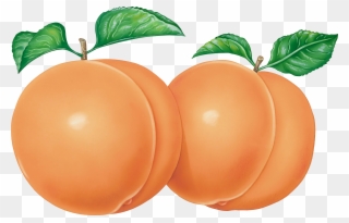 Peach Png Image - Have A Nice Day Butt Clipart