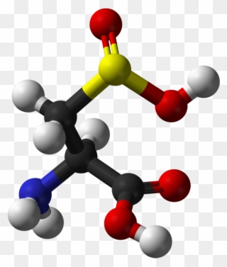 Cysteine Sulfinic Acid - 3d Structure Of Cysteine Clipart