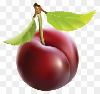 Plum Clip Art - Plum Png Transparent Png