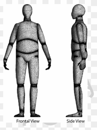 780 X 778 7 - Computer Model Of Human Body Clipart